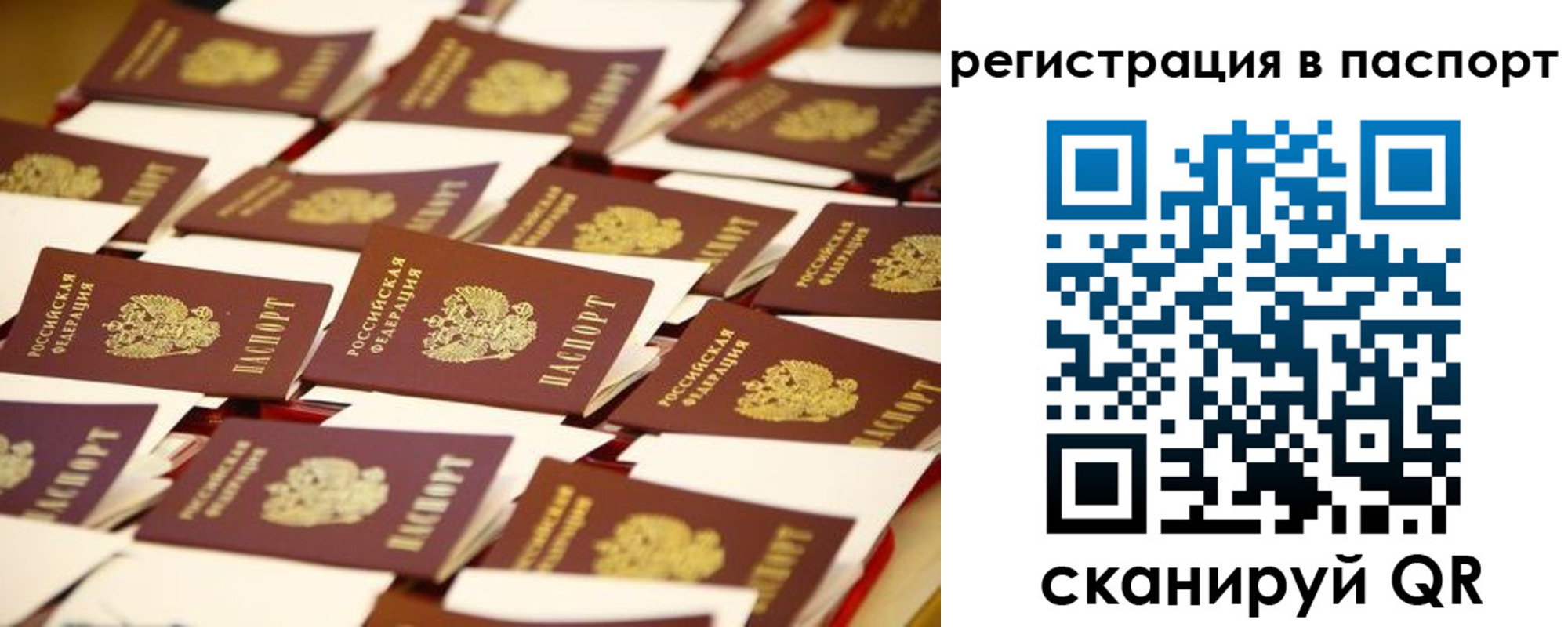прописка гарантия в Невинномысске